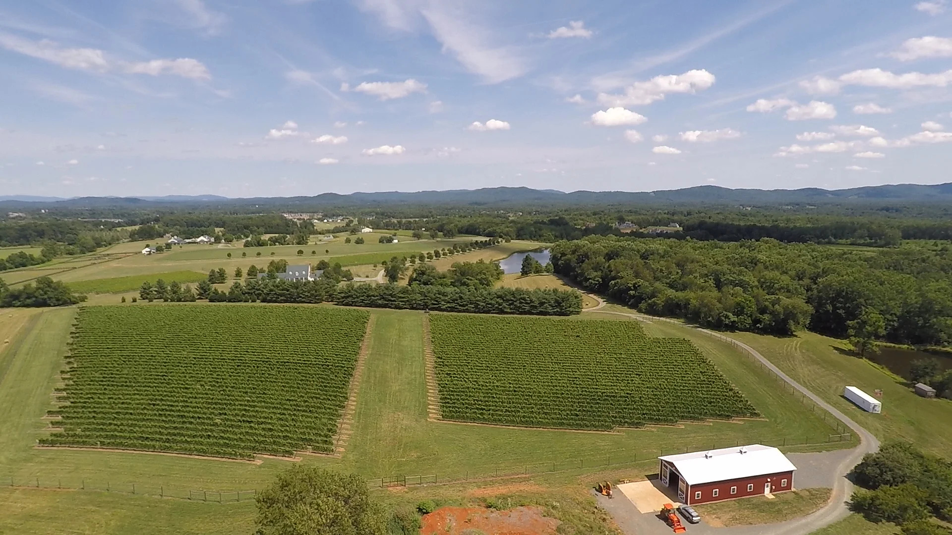 Aerial view of the farm's vineyard rows and barn