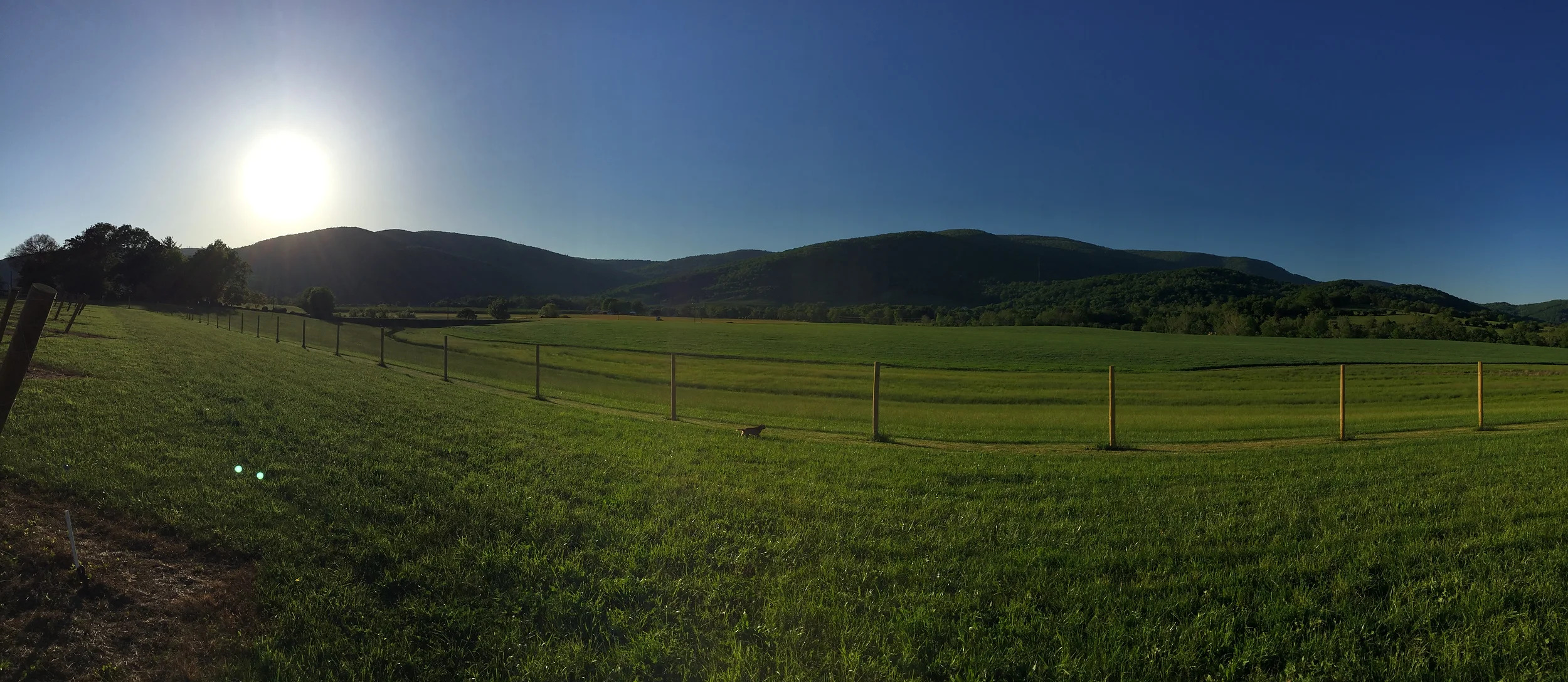 Fenced pasture below the mountains in full sun