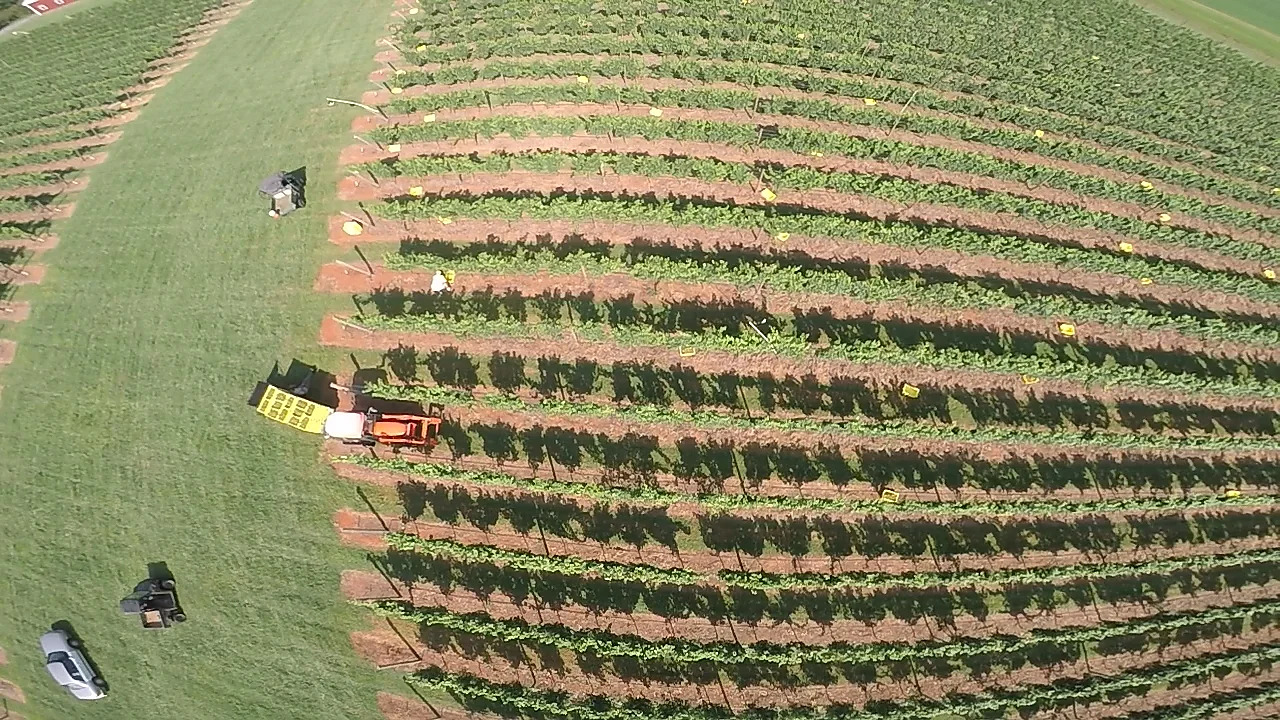 Field equipment working a planted row